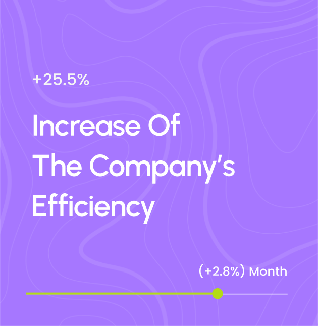 Company's Efficiency